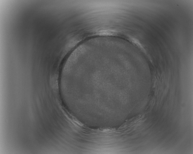 X0000063500299200602032024