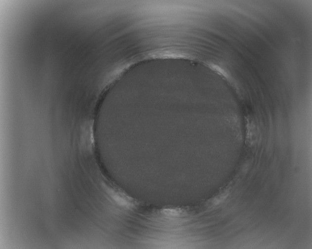 X0000063500302200602032024