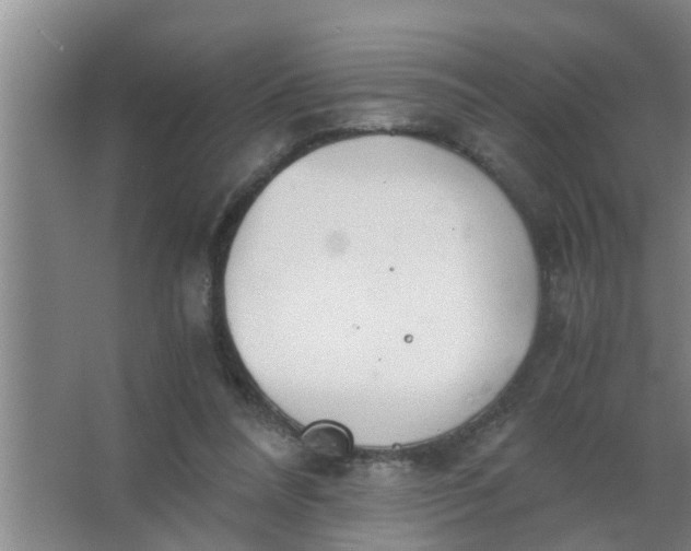 X0000063500304200602032024