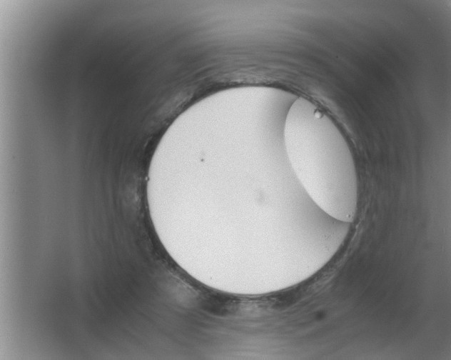 X0000063500305200602032024