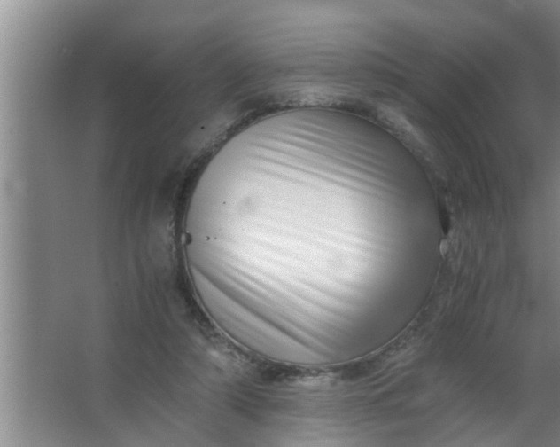 X0000063500306200602032024