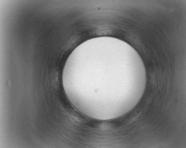 X0000063500308200602032024