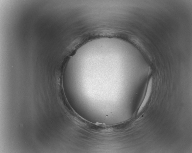 X0000063500309200602032024