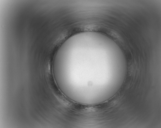 X0000063500310200602032024