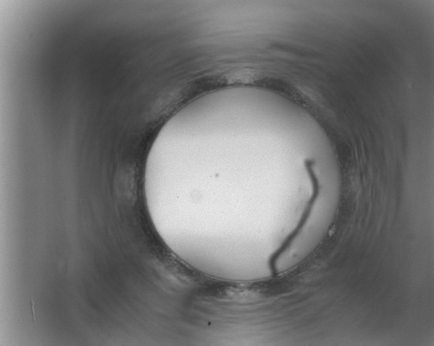 X0000063500311200602032024