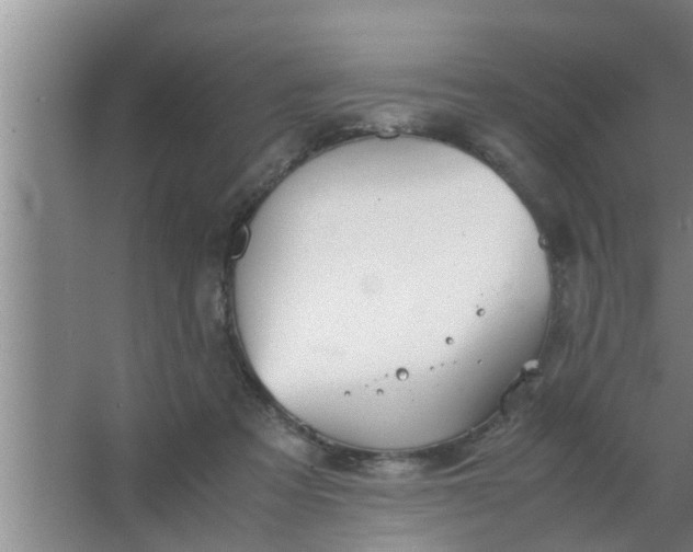 X0000063500313200602032024