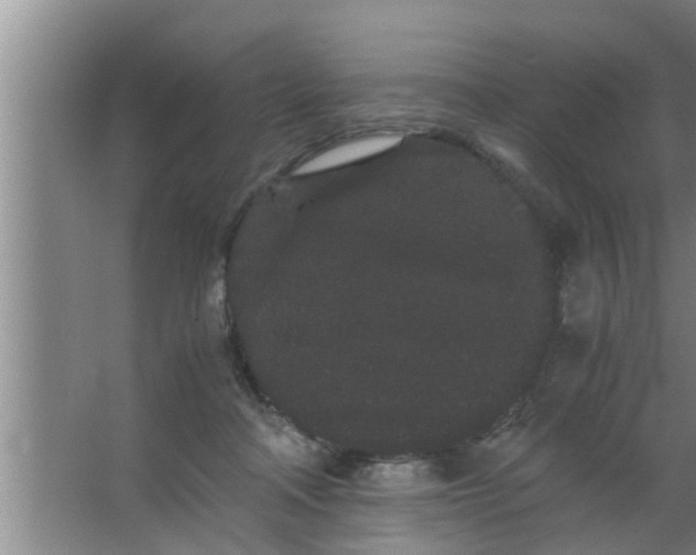 X0000063500314200602032024