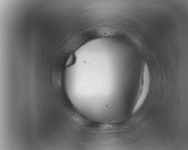 X0000063500315200602032024