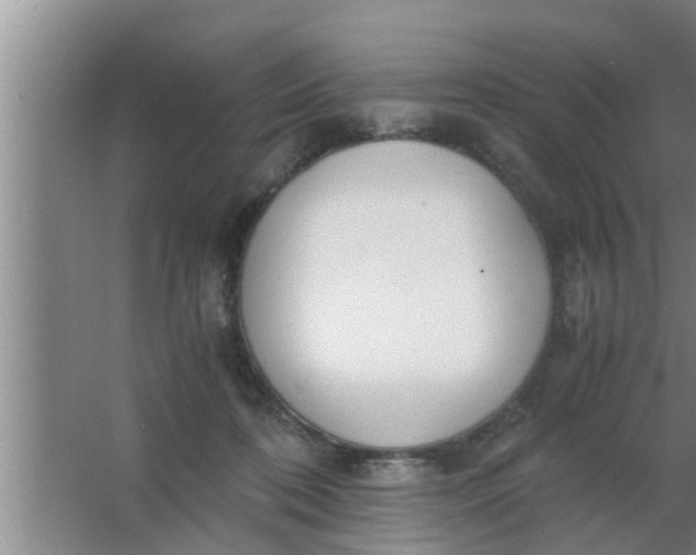 X0000063500316200602032024