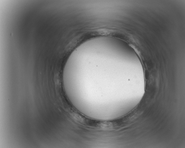 X0000063500317200602032024