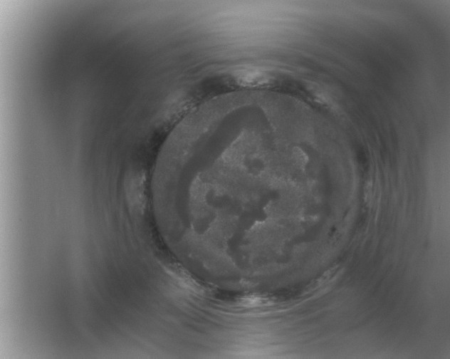 X0000063500319200602032024