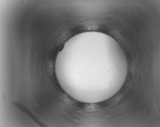 X0000063500321200602032024