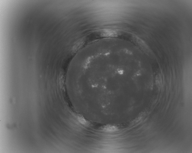 X0000063500322200602032024