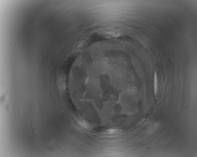 X0000063500323200602032024