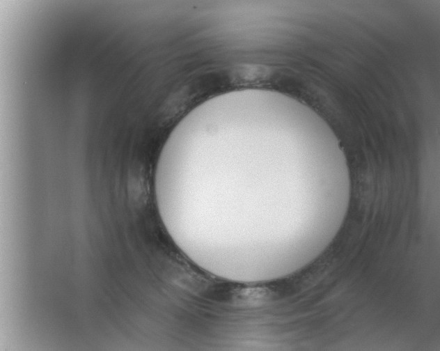 X0000063500324200602032024