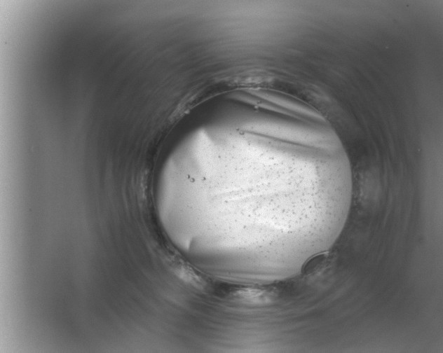 X0000063500326200602032024