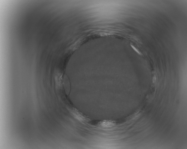 X0000063500327200602032024