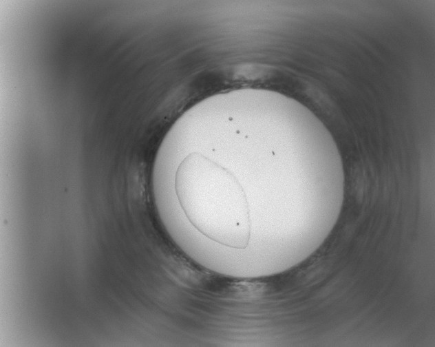 X0000063500328200602032024