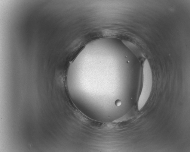 X0000063500329200602032024