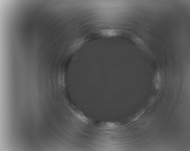 X0000063500330200602032024