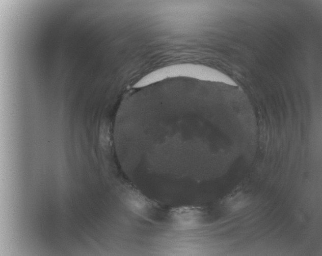 X0000063500331200602032024