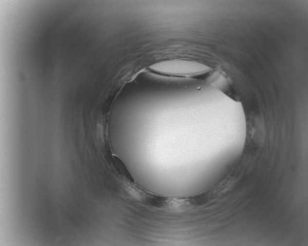 X0000063500333200602032024