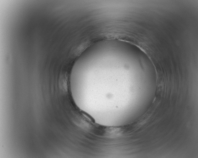 X0000063500334200602032024