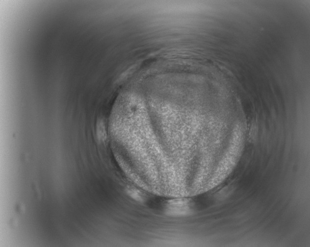 X0000063500335200602032024