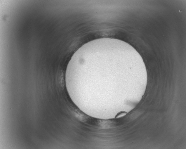 X0000063500336200602032024