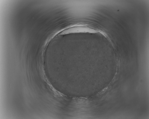 X0000063500337200602032023