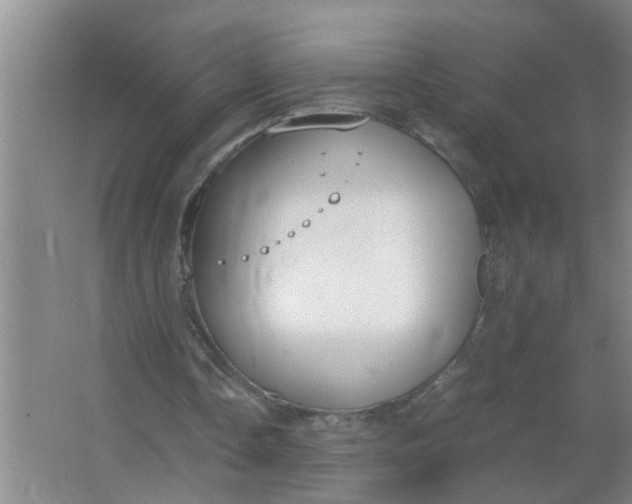 X0000063500338200602032023