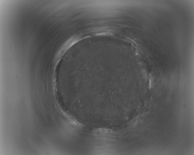 X0000063500339200602032023