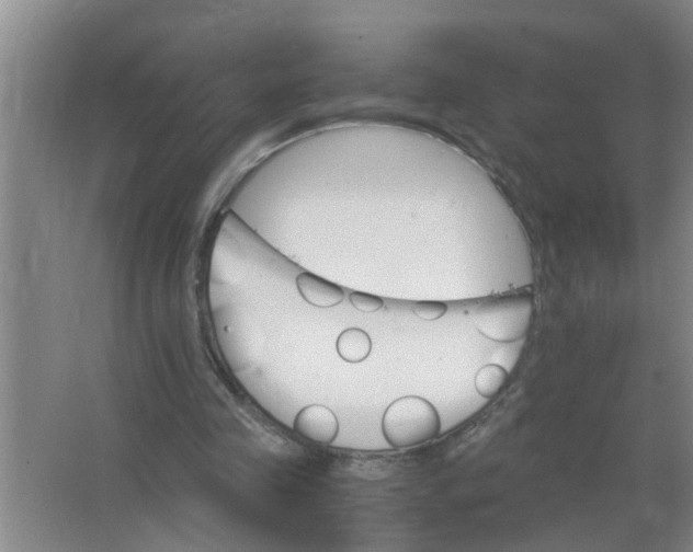 X0000063500341200602032023