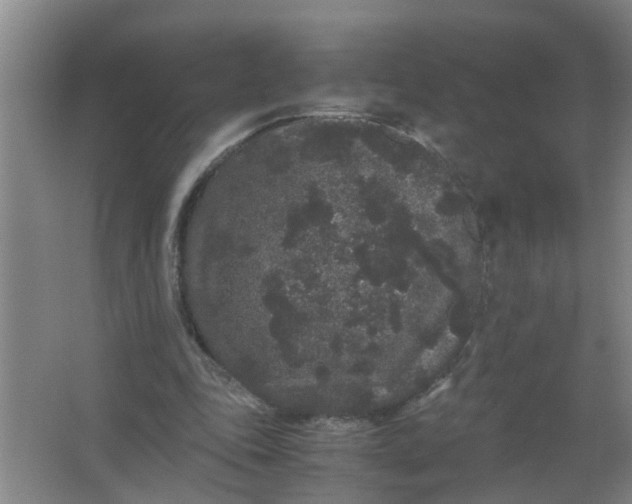 X0000063500343200602032023