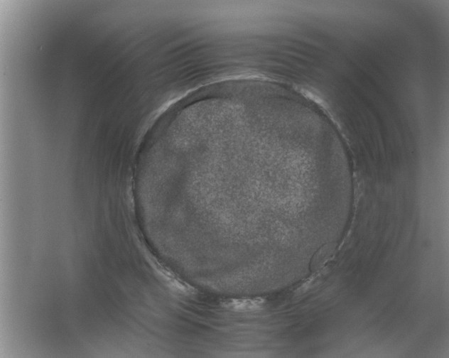 X0000063500345200602032023