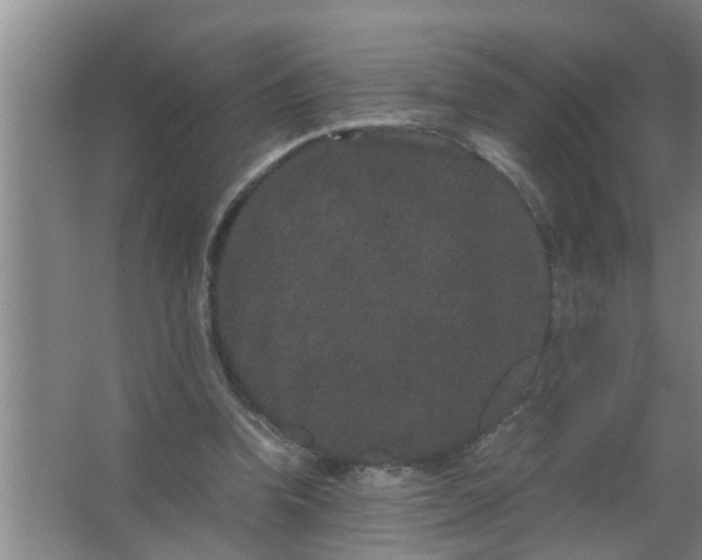 X0000063500346200602032023