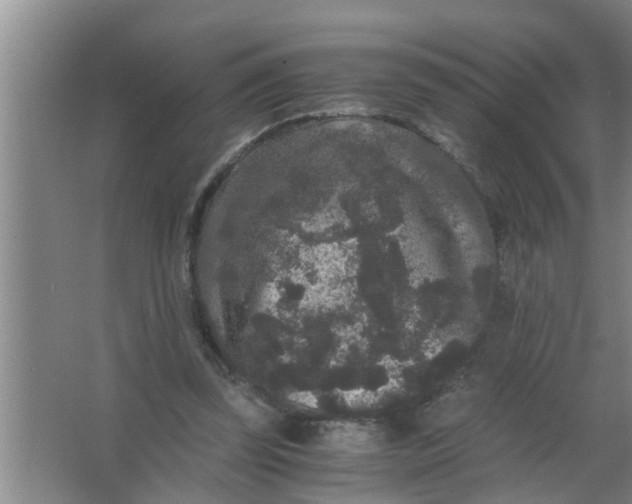 X0000063500347200602032023