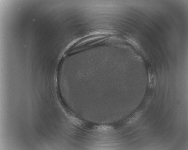 X0000063500348200602032023