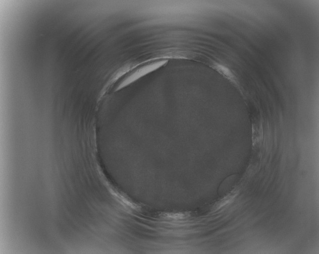 X0000063500349200602032023