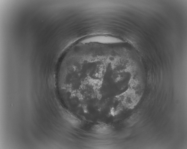 X0000063500351200602032023