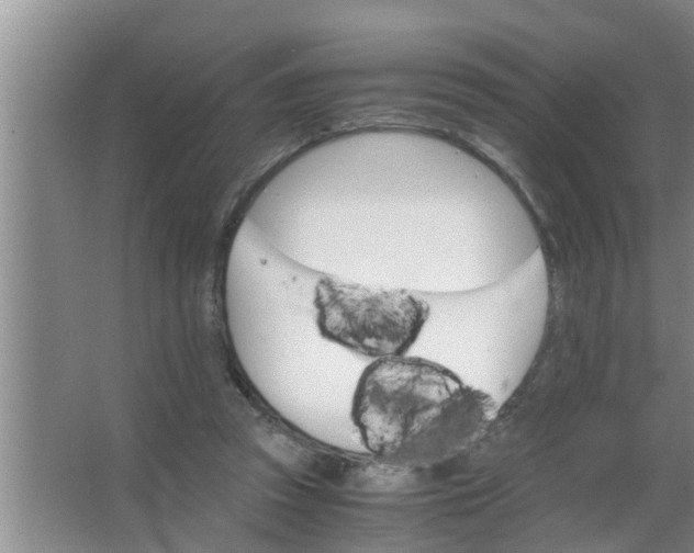 X0000063500353200602032023