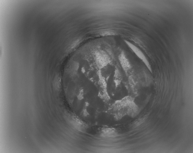 X0000063500355200602032023