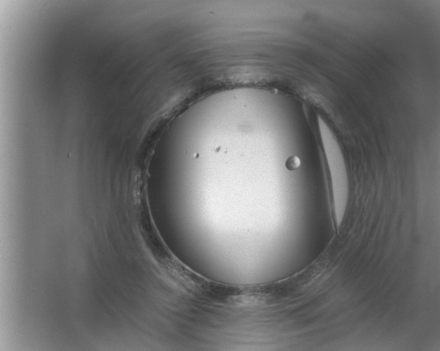 X0000063500356200602032023