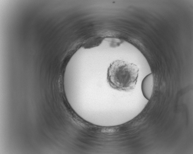 X0000063500357200602032023