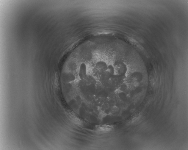 X0000063500359200602032023