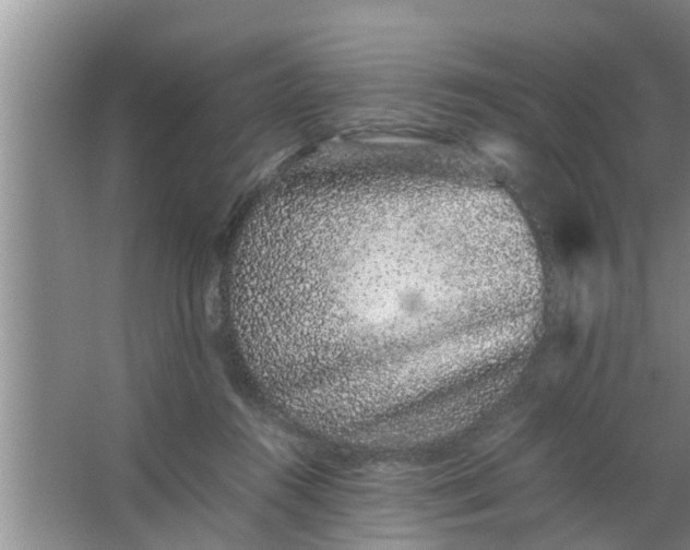 X0000063500360200602032023