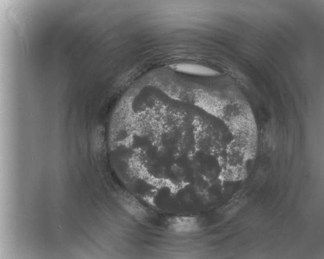 X0000063500361200602032023