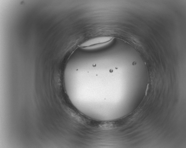 X0000063500362200602032023