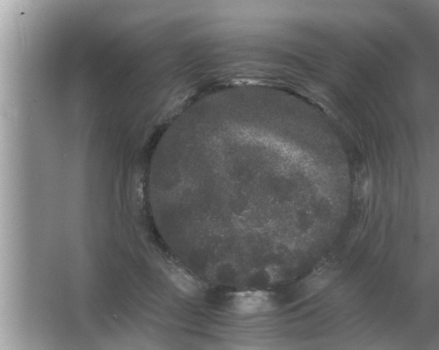 X0000063500363200602032023