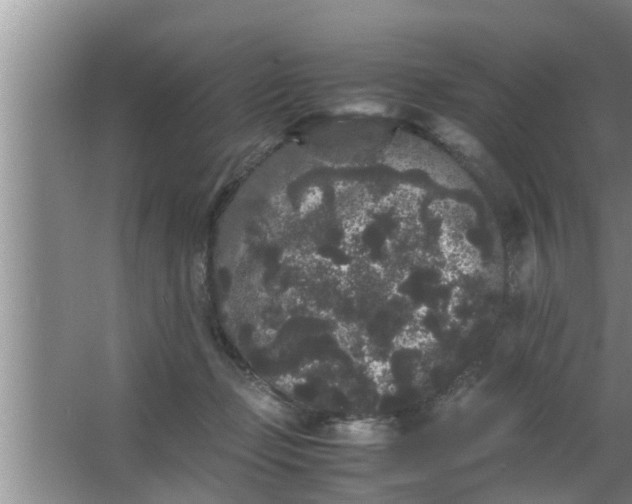 X0000063500365200602032023